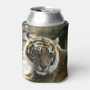Tiger’s Grace Can Cooler