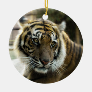 Tiger’s Grace Ceramic Ornament