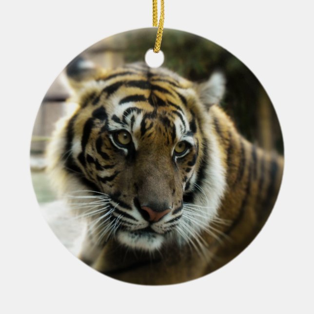 Tiger’s Grace Ceramic Ornament (Front)