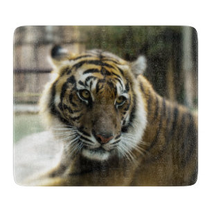 Tiger’s Grace Cutting Board