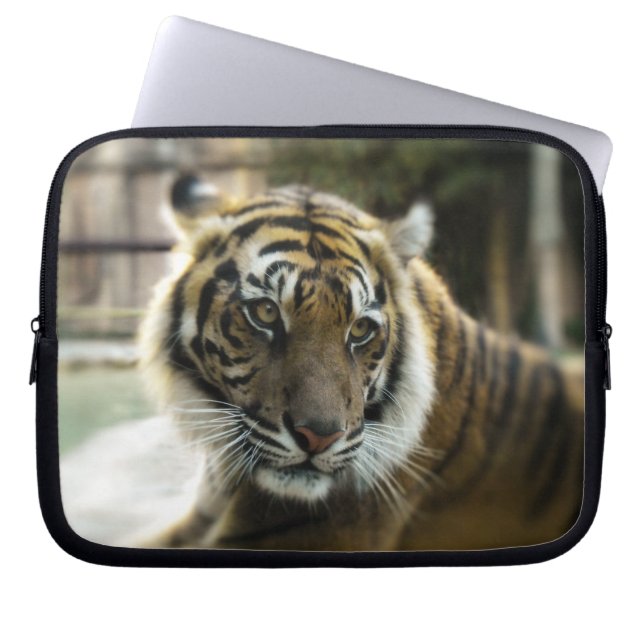 Tiger’s Grace Laptop Sleeve (Front)