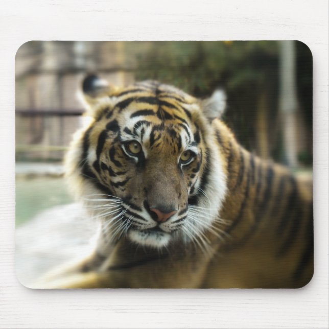 Tiger’s Grace Mouse Pad (Front)