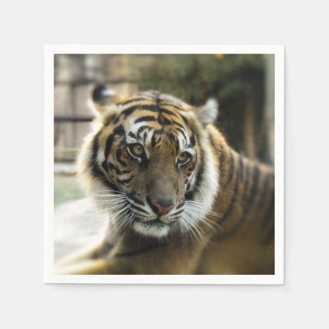 Tiger’s Grace Napkin (Front)