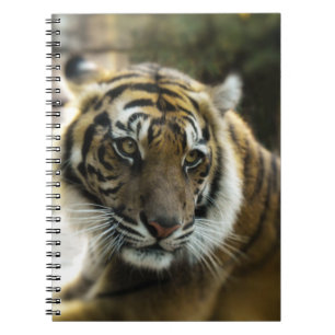 Tiger’s Grace Notebook