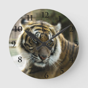 Tiger’s Grace Round Clock