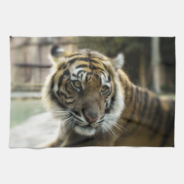 Tiger’s Grace Tea Towel (Horizontal)