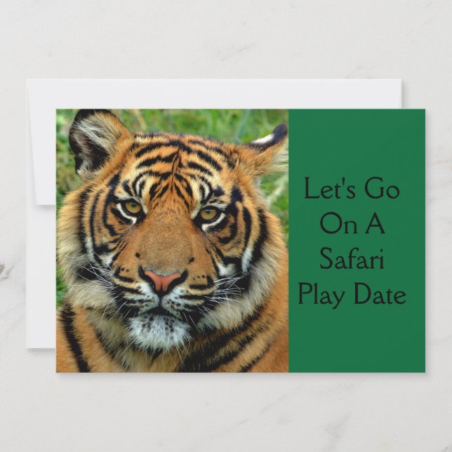 Tiger Safari Play Date Birthday Party Invitations (Front)