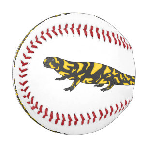 Tiger salamander cartoon illustration baseball