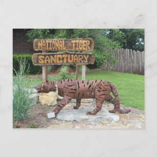 Tiger Sanctuary Sign Postcard