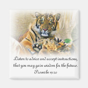 Tiger,Seeking_ Magnet