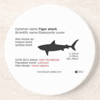 Tiger shark coaster