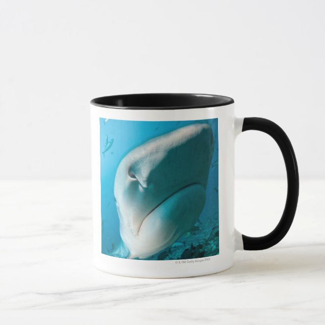 Tiger shark (Galeocerdo cuvier) Shark feed Mug (Right)