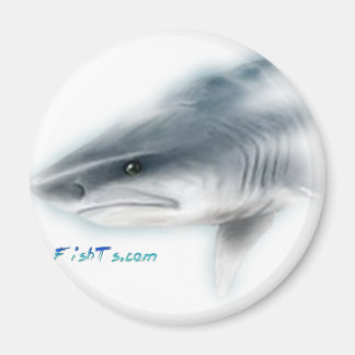 Tiger Shark Head Magnet