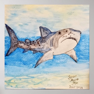 Tiger Shark Poster