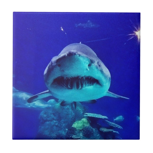 Tiger Shark Tile (Front)