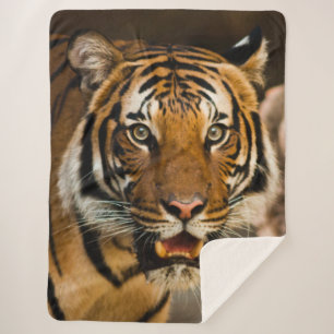 TIGER SHERPA BLANKET