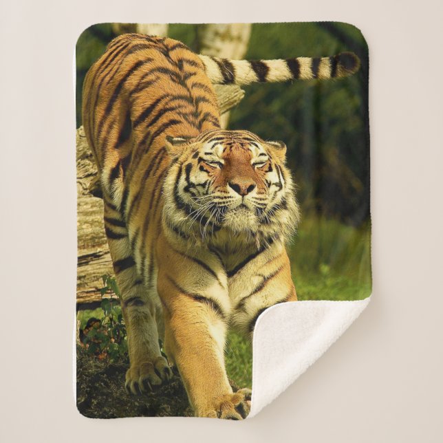 Tiger Sherpa Blanket (Front)