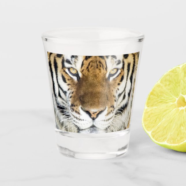 Tiger Shot Glass (Front)