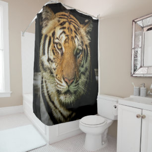 tiger shower curtain