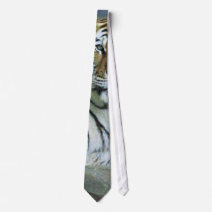 Tiger, Siberian Tie
