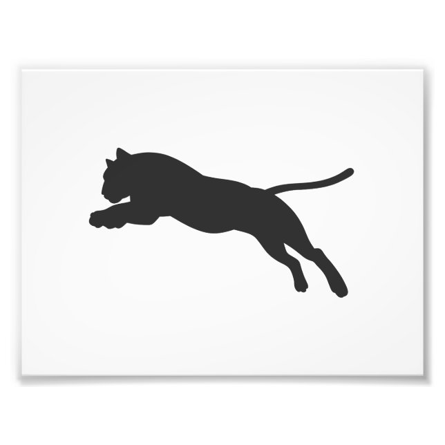 Tiger silhouette - Choose background colour Photo Print (Front)