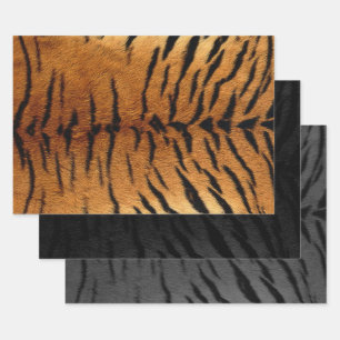 Tiger Skin Print in three colours Wrapping Paper Sheet