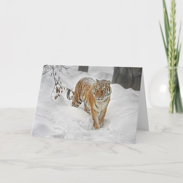 Tiger Snow Path Card (Front)