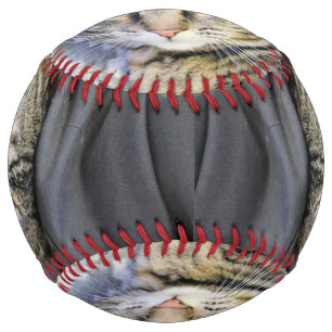 Tiger Softball