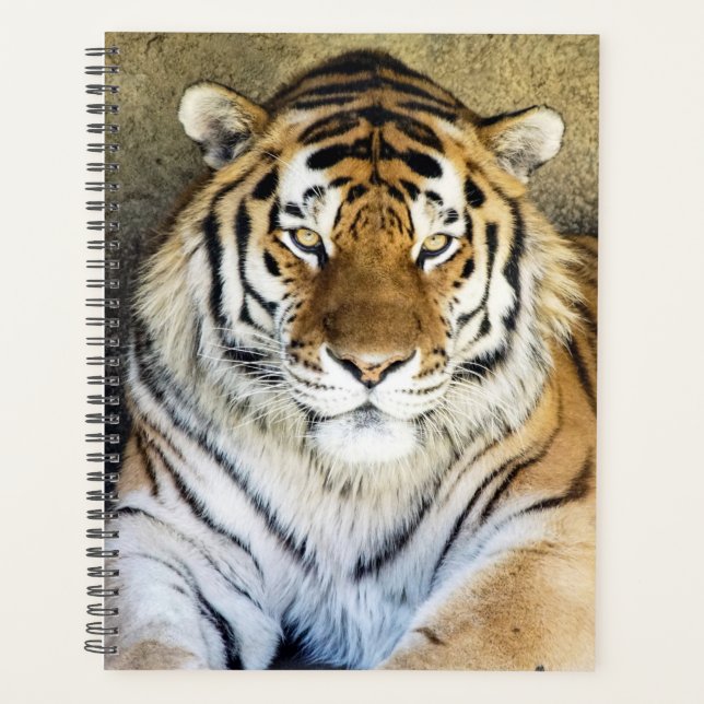Tiger Spiral Weekly/Monthly Planner (Front)