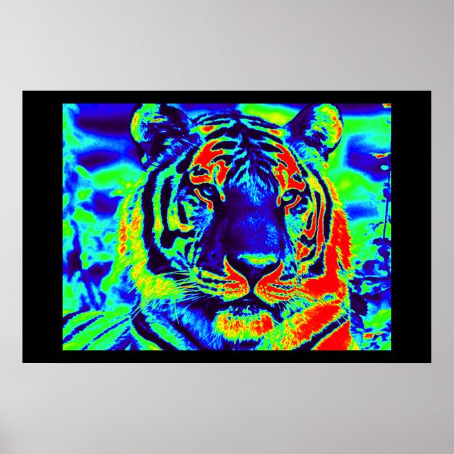 Tiger Spirit Poster (Front)