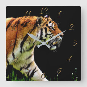 Tiger Square Wall Clock