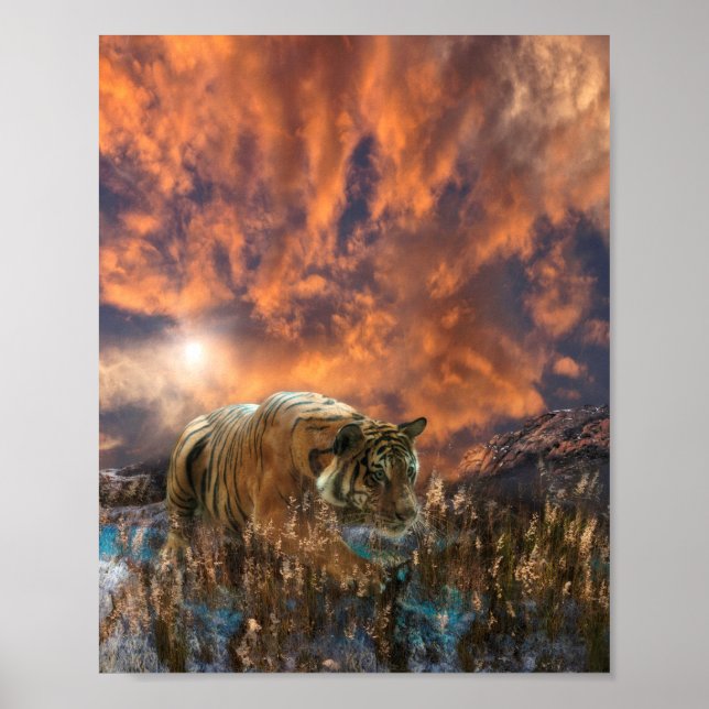 Tiger Stalking WHISPER ON THE BREEZE Poster (Front)