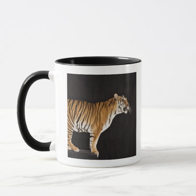 Tiger standing on platform mug (Left)