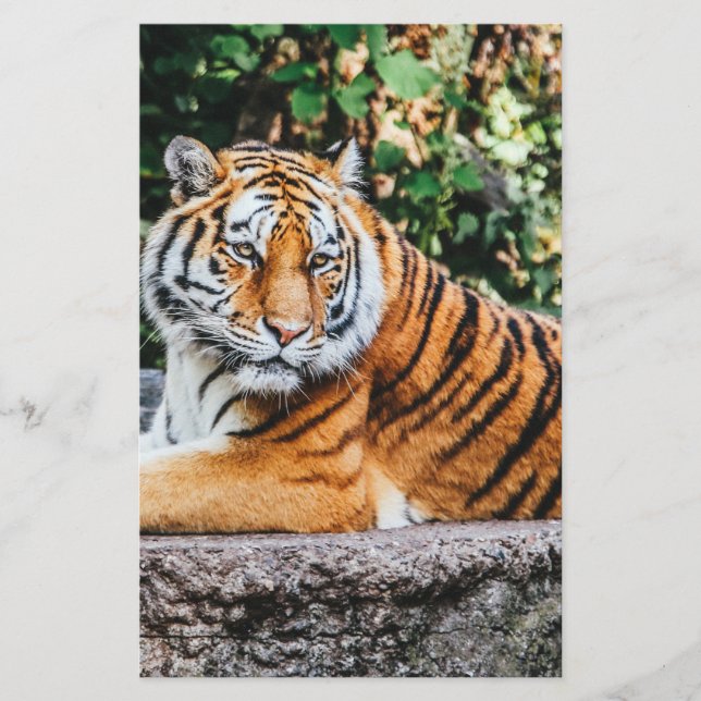 Tiger Stationery (Front)