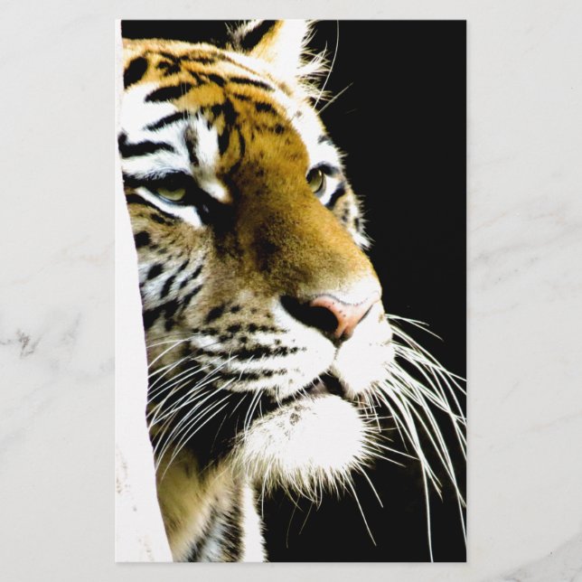 Tiger Stationery (Front)