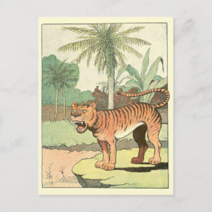 Tiger Story Book Postcard