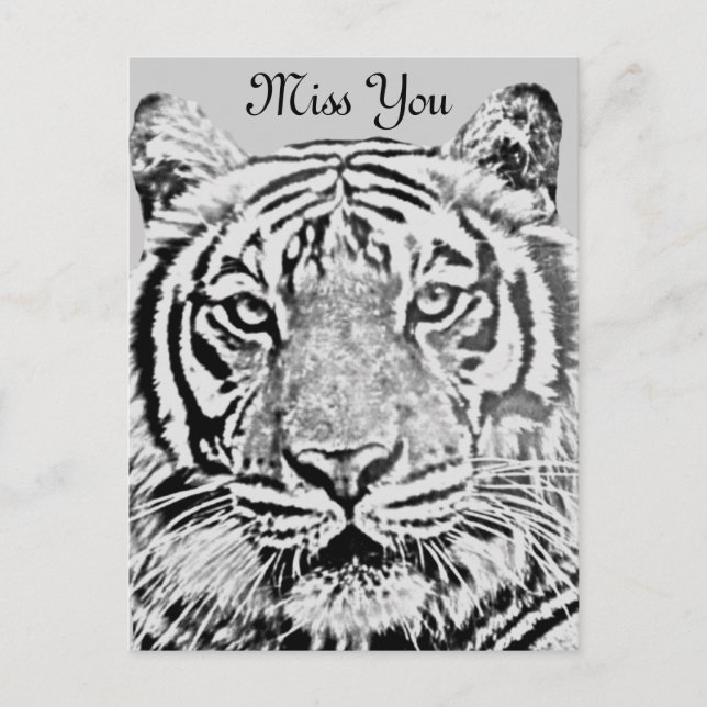 Tiger strength_ postcard (Front)