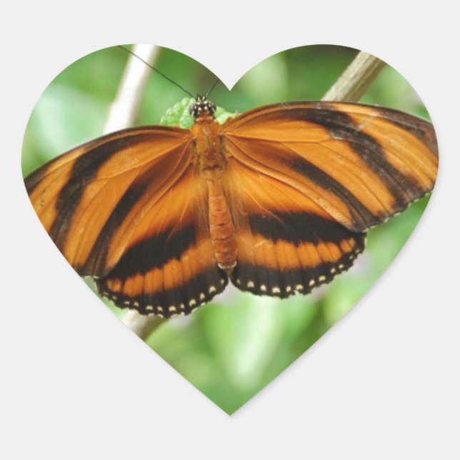 Tiger Stripe Butterfly Heart Sticker (Front)