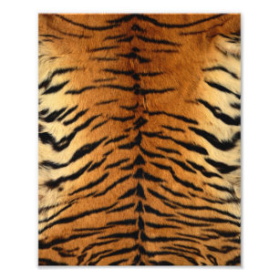 Tiger Stripe Fur Print