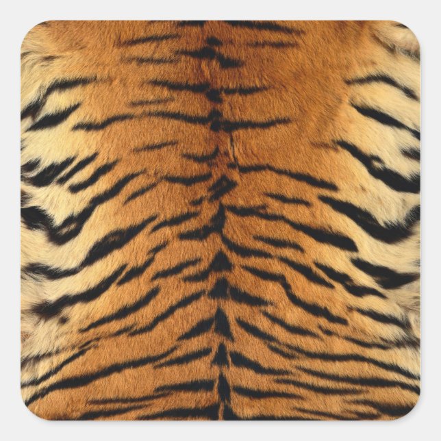 Tiger Stripe Fur Print Square Sticker (Front)
