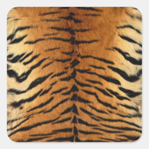 Tiger Stripe Fur Print Square Sticker