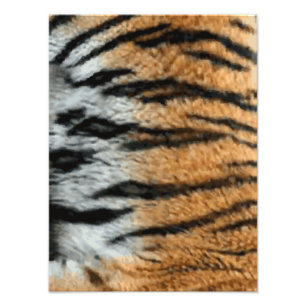 Tiger Stripe Print Pattern Background