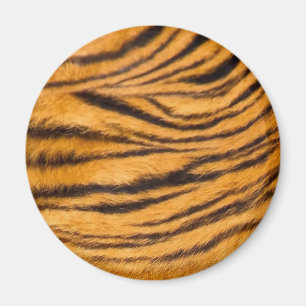 Tiger Stripes Fur Black and Orange Personalise it Magnet