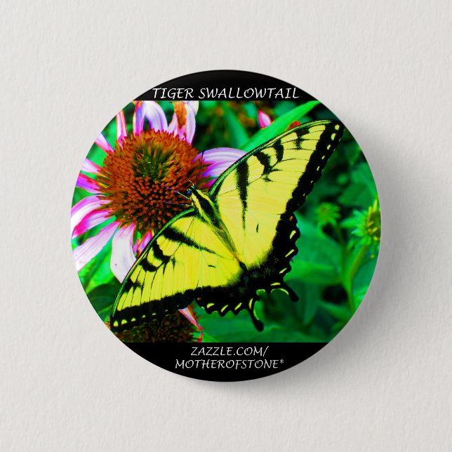 Tiger Swallowtail 6 Cm Round Badge (Front)
