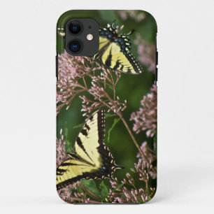 Tiger Swallowtail Butterflies on Joe Pye Weed iPhone 11 Case