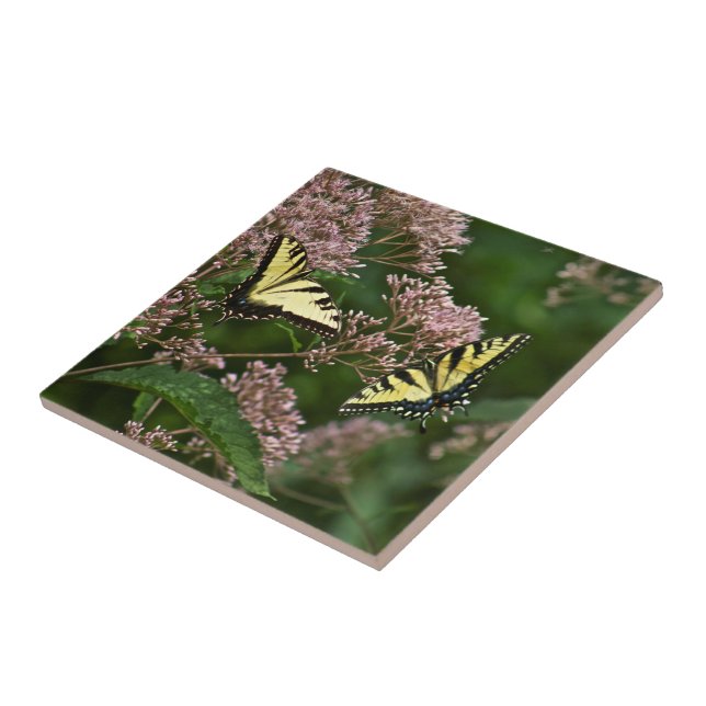 Tiger Swallowtail Butterflies on Joe Pye Weed Ceramic Tile (Side)