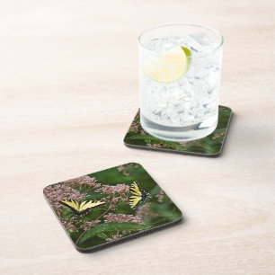 Tiger Swallowtail Butterflies on Joe Pye Weed Coaster
