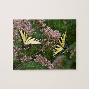 Tiger Swallowtail Butterflies on Joe Pye Weed Jigsaw Puzzle
