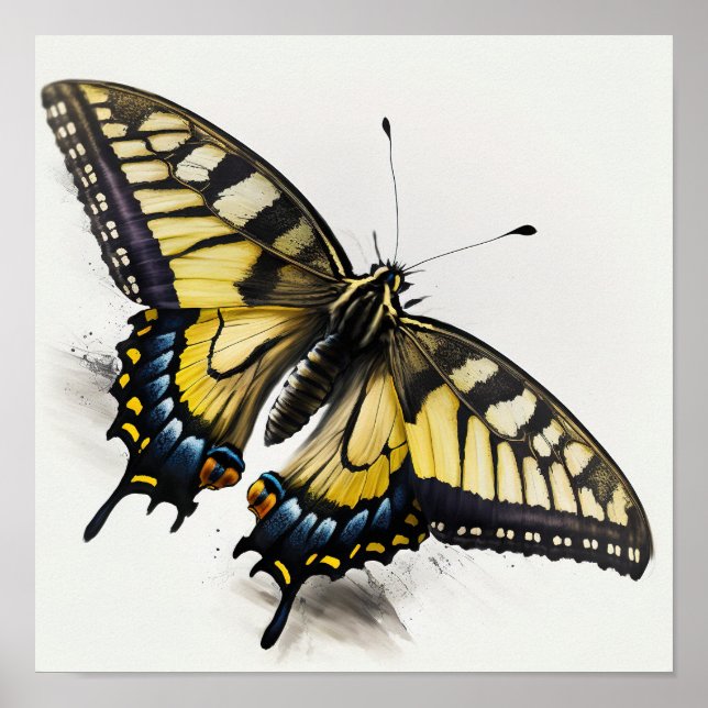 Tiger Swallowtail Butterfly Art Print Poster (Front)