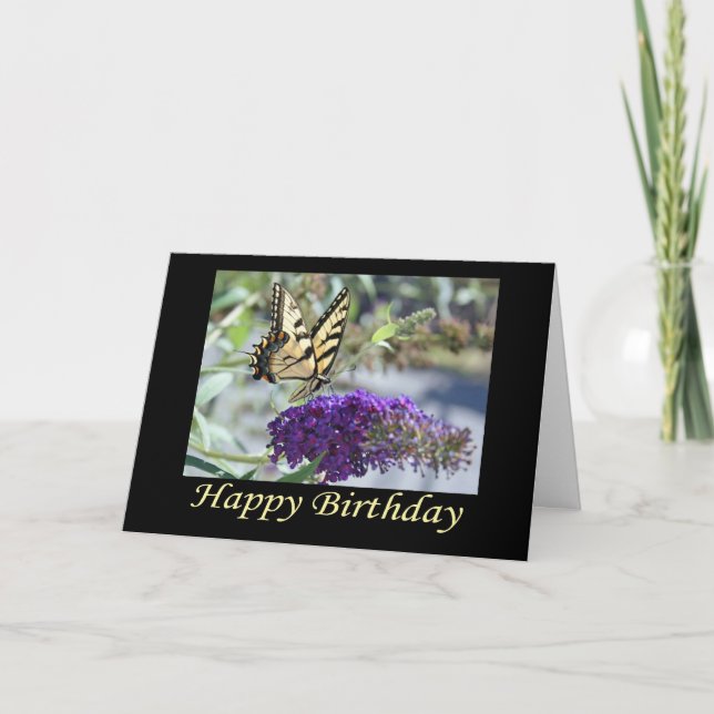 Tiger Swallowtail Butterfly Birthday Card (Front)